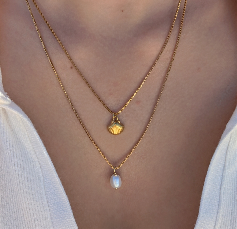 11 שרשרת צדפה