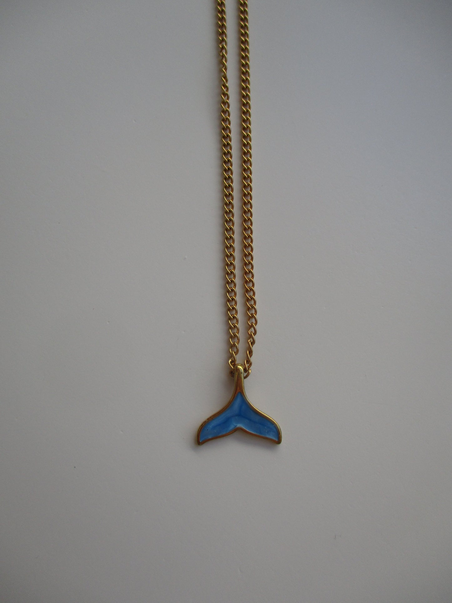 17 שרשרת סנפיר כחול