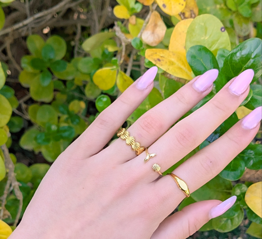 10 טבעת צדפות