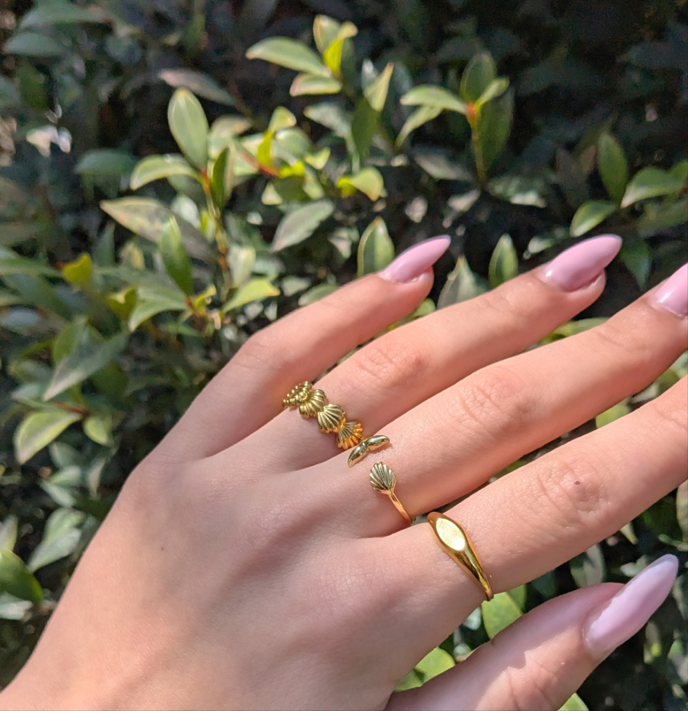 10 טבעת צדפות