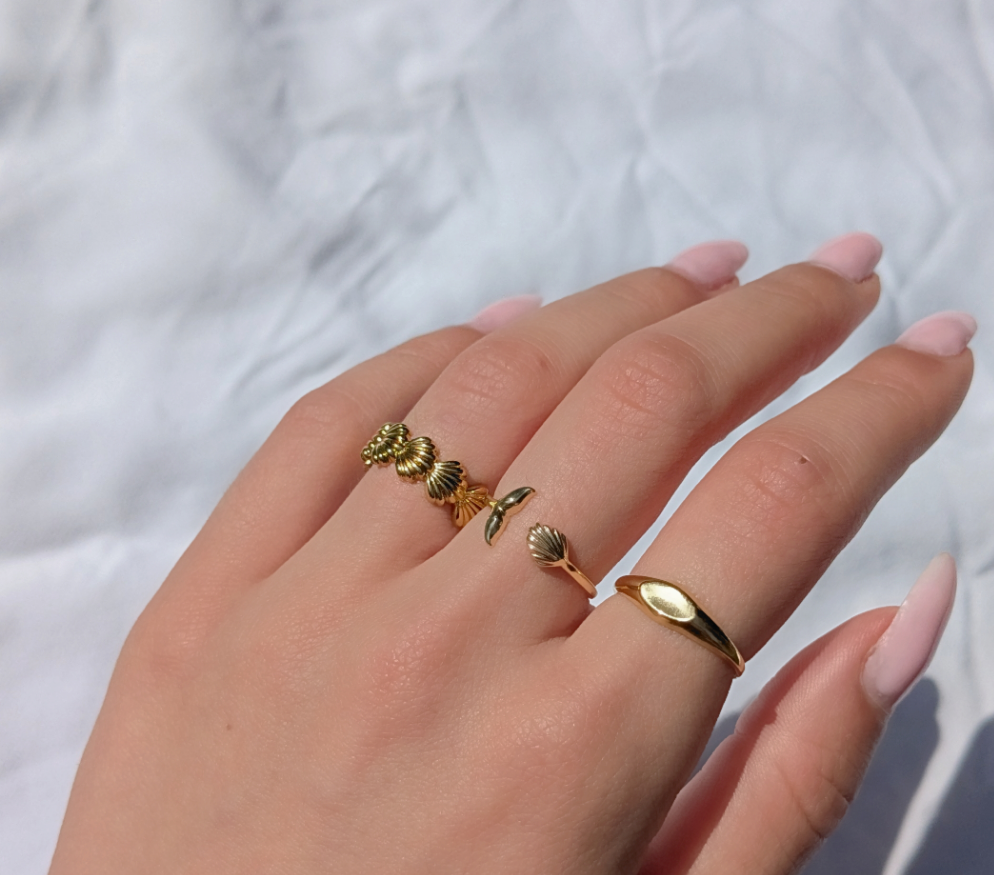 10 טבעת צדפות