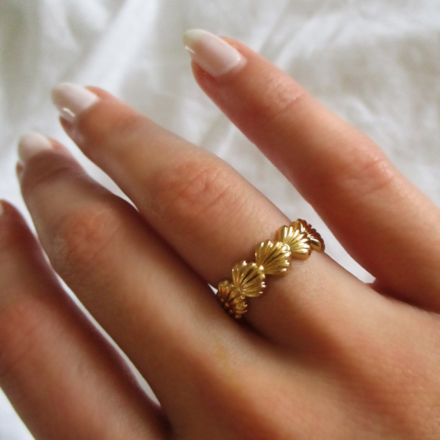 10 טבעת צדפות